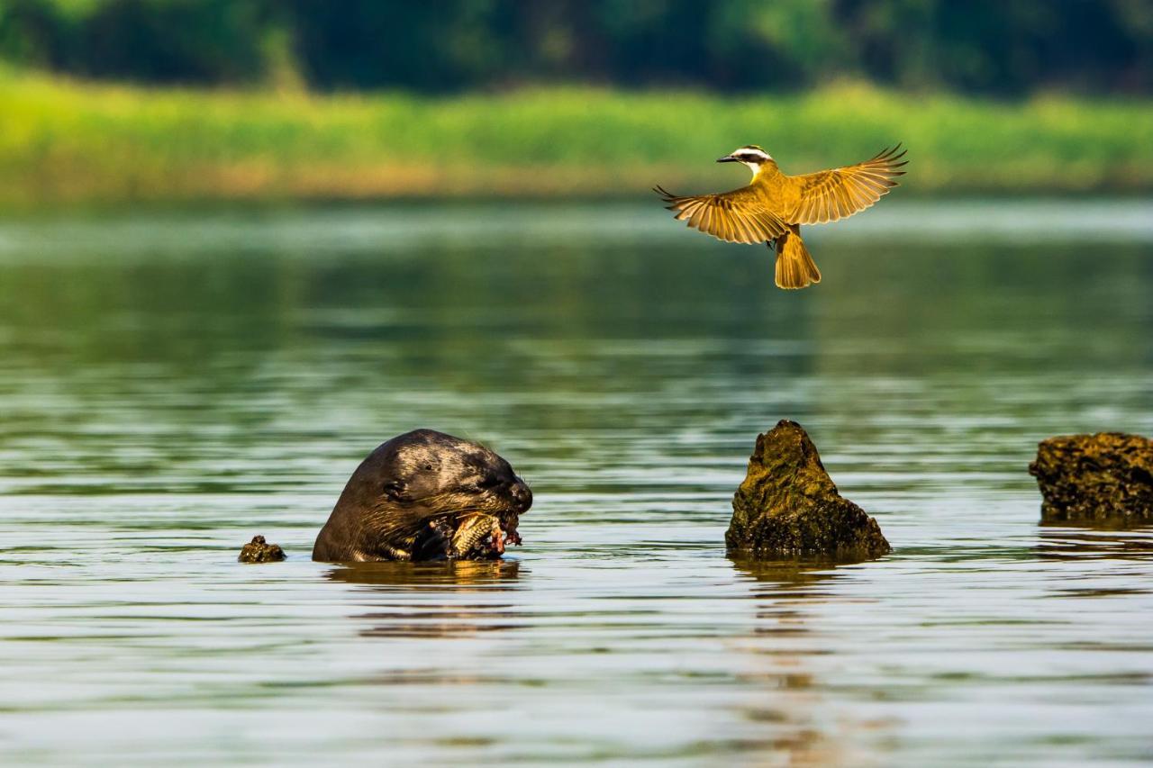 Aymara Lodge Poconé エクステリア 写真